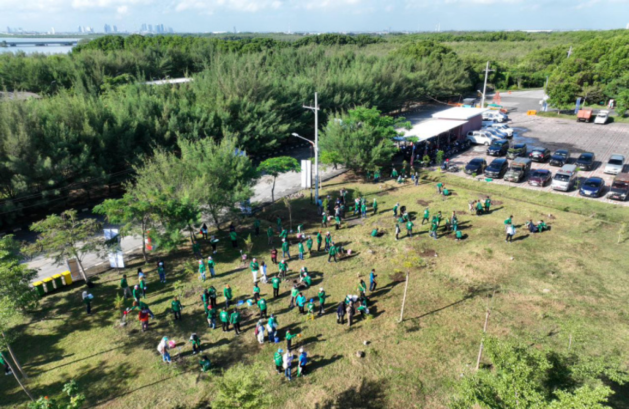 Selain penanaman pohon, sekitar 300 relawan dari pelajar, warga, komunitas lingkungan, hingga instansi pemerintah turut terlibat dalam aksi bersih kawasan. Foto ist
