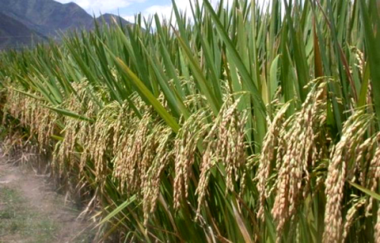 Konektivitas dan Infrastruktur Jadi Hambatan Utama Pertumbuhan Ekonomi Banten Selatan