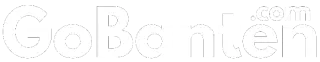 logo-footer 